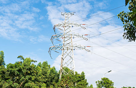 Wire-pole
