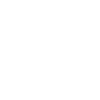 qc-icon-2